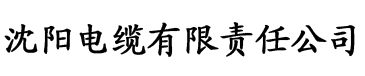 91桃色视频免费看电缆厂logo